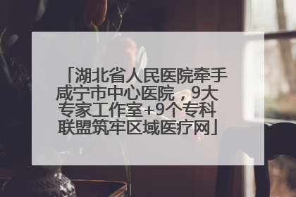 湖北省人民医院牵手咸宁市中心医院，9大专家工作室+9个专科联盟筑牢区域医疗网
