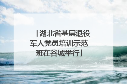 湖北省基层退役军人党员培训示范班在谷城举行