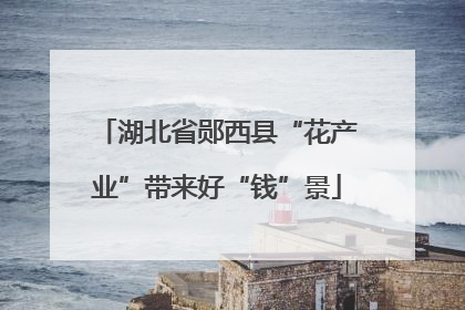湖北省郧西县“花产业”带来好“钱”景
