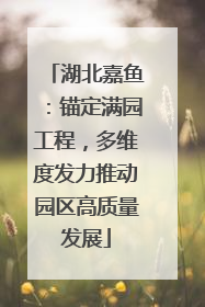 湖北嘉鱼：锚定满园工程，多维度发力推动园区高质量发展