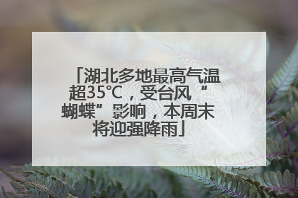 湖北多地最高气温超35℃，受台风“蝴蝶”影响，本周末将迎强降雨