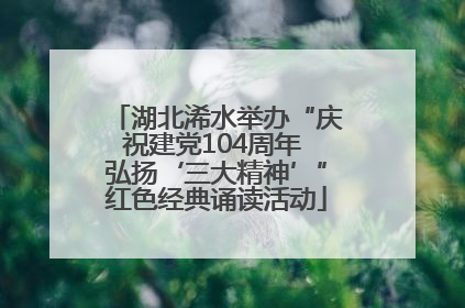 湖北浠水举办“庆祝建党104周年 弘扬‘三大精神’”红色经典诵读活动
