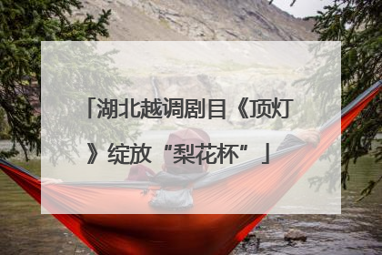 湖北越调剧目《顶灯》绽放“梨花杯”