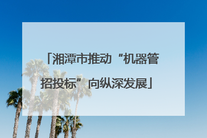 湘潭市推动“机器管招投标”向纵深发展