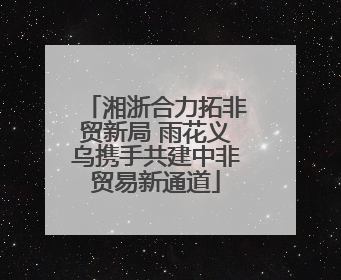 湘浙合力拓非贸新局 雨花义乌携手共建中非贸易新通道