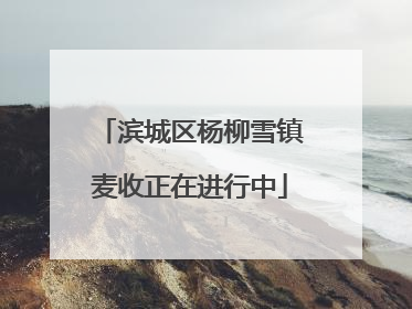 滨城区杨柳雪镇麦收正在进行中