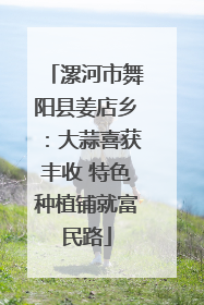 漯河市舞阳县姜店乡：大蒜喜获丰收 特色种植铺就富民路