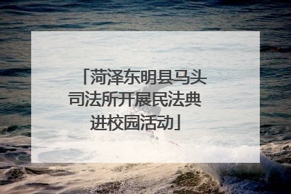 菏泽东明县马头司法所开展民法典进校园活动