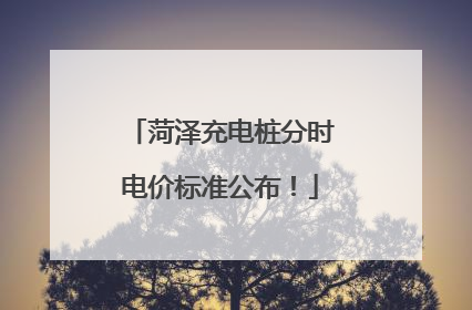 菏泽充电桩分时电价标准公布！