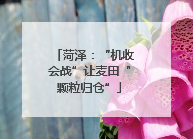 菏泽：“机收会战”让麦田“颗粒归仓”