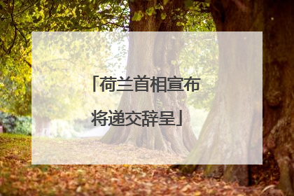 荷兰首相宣布将递交辞呈