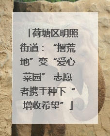 荷塘区明照街道：“撂荒地”变“爱心菜园” 志愿者携手种下“增收希望”