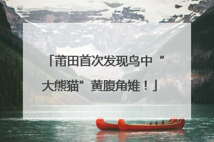 莆田首次发现鸟中“大熊猫”黄腹角雉！