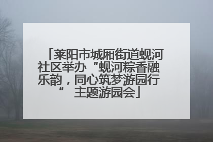 莱阳市城厢街道蚬河社区举办“蚬河粽香融乐韵，同心筑梦游园行” 主题游园会