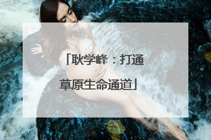 耿学峰：打通草原生命通道