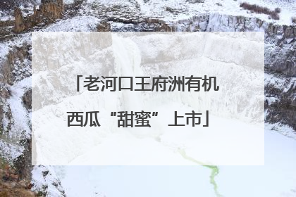 老河口王府洲有机西瓜“甜蜜”上市