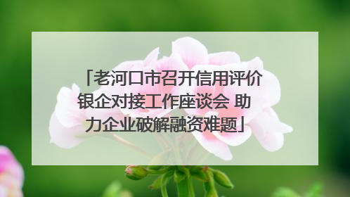 老河口市召开信用评价银企对接工作座谈会 助力企业破解融资难题