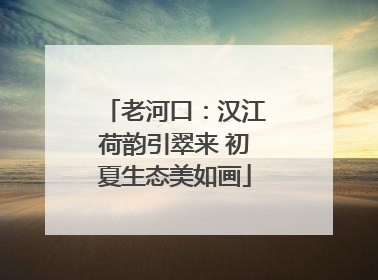 老河口：汉江荷韵引翠来 初夏生态美如画