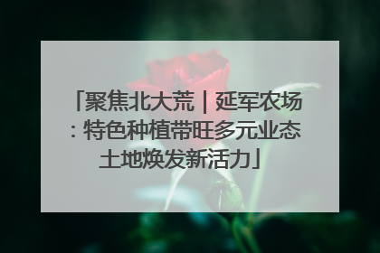 聚焦北大荒｜延军农场：特色种植带旺多元业态 土地焕发新活力