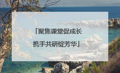 聚焦课堂促成长 携手共研绽芳华