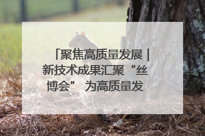 聚焦高质量发展｜新技术成果汇聚“丝博会” 为高质量发展注入新动能