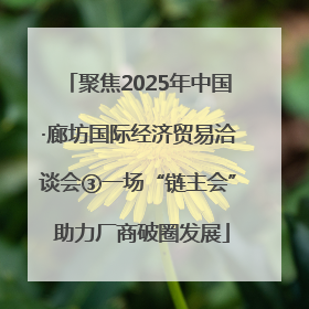 聚焦2025年中国·廊坊国际经济贸易洽谈会③一场“链主会” 助力厂商破圈发展