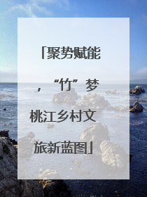聚势赋能，“竹”梦桃江乡村文旅新蓝图