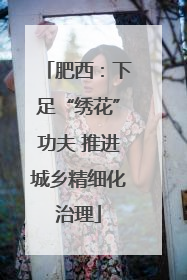 肥西：下足“绣花”功夫 推进城乡精细化治理