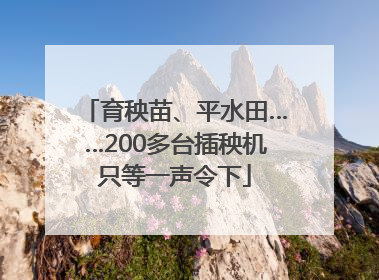 育秧苗、平水田……200多台插秧机只等一声令下