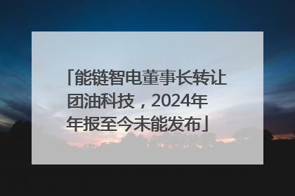 能链智电董事长转让团油科技，2024年年报至今未能发布