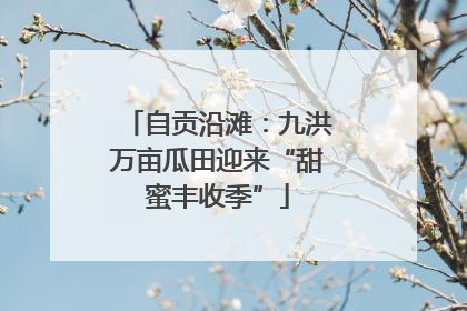 自贡沿滩：九洪万亩瓜田迎来“甜蜜丰收季”