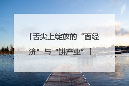 舌尖上绽放的“面经济”与“饼产业”