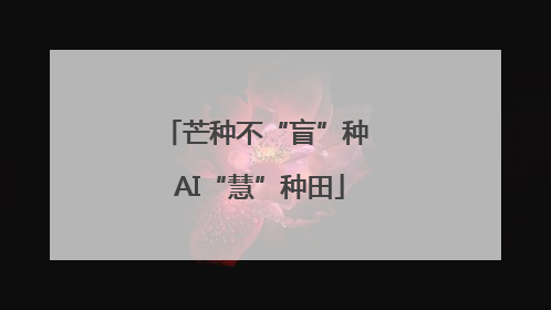 芒种不“盲”种 AI“慧”种田