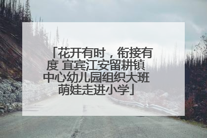 花开有时，衔接有度 宜宾江安留耕镇中心幼儿园组织大班萌娃走进小学