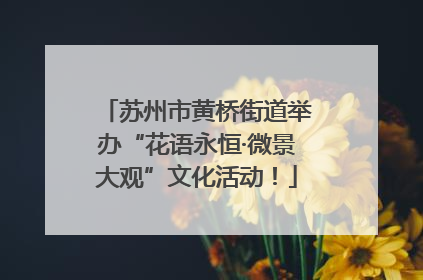 苏州市黄桥街道举办“花语永恒·微景大观”文化活动！
