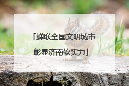 蝉联全国文明城市 彰显济南软实力