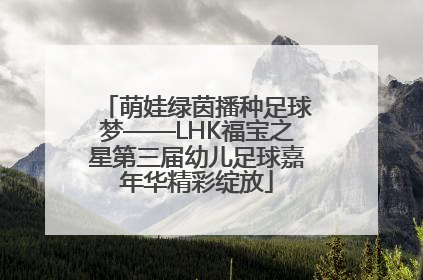 萌娃绿茵播种足球梦——LHK福宝之星第三届幼儿足球嘉年华精彩绽放