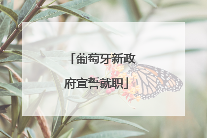 葡萄牙新政府宣誓就职