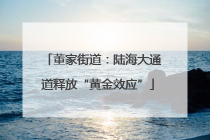 董家街道：陆海大通道释放“黄金效应”