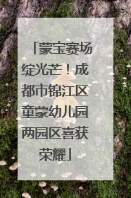 蒙宝赛场绽光芒！成都市锦江区童蒙幼儿园两园区喜获荣耀