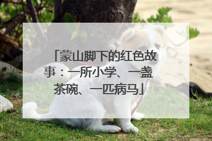 蒙山脚下的红色故事：一所小学、一盏茶碗、一匹病马
