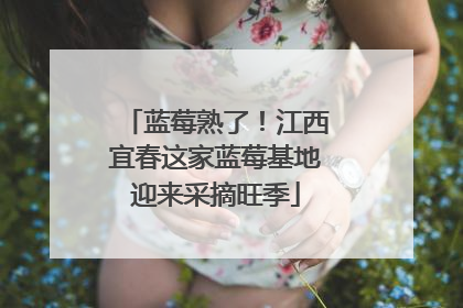 蓝莓熟了！江西宜春这家蓝莓基地迎来采摘旺季