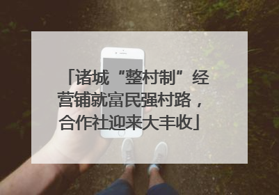 诸城“整村制”经营铺就富民强村路，合作社迎来大丰收