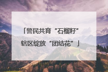 警民共育“石榴籽” 辖区绽放“团结花”