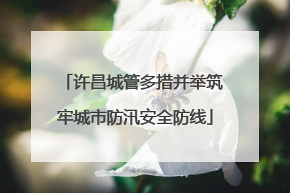 许昌城管多措并举筑牢城市防汛安全防线
