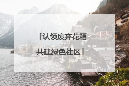 认领废弃花箱 共建绿色社区