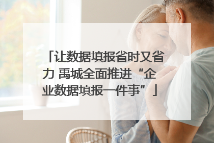 让数据填报省时又省力 禹城全面推进“企业数据填报一件事”