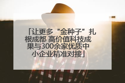 让更多“金种子”扎根成都 高价值科技成果与300余家优质中小企业精准对接