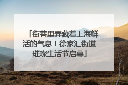 街巷里弄藏着上海鲜活的气息！徐家汇街道璀璨生活节启幕