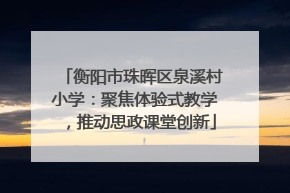 衡阳市珠晖区泉溪村小学：聚焦体验式教学，推动思政课堂创新
